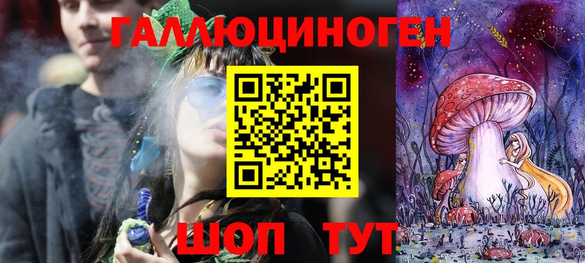Псков  Псилоцибиновые грибы Cubensis  Вход с VPN  Псилоцибиновые грибы мицелий 